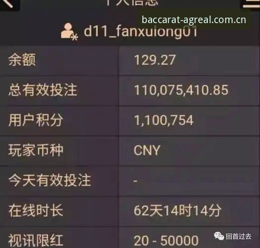 AG真人百家乐官方下载全攻略：从入门到精通