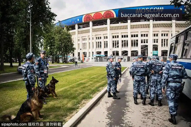 世界杯安保仅派3名英国警员，百家乐投注技巧怎么样助你冷静分析赛事热度？